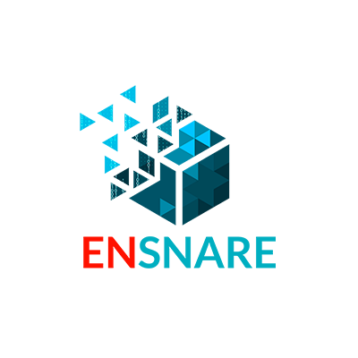 ENSARE